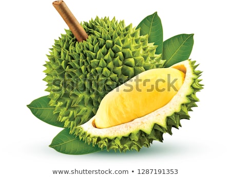 Foto stock: Durian