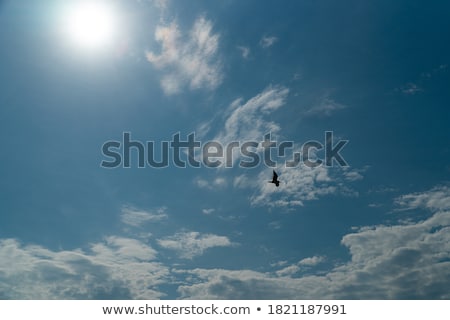 Foto stock: Airplane Flying Over Cloudy Sky