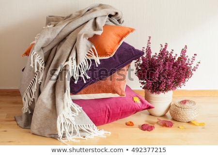 [[stock_photo]]: Plaid Colorful Cushions