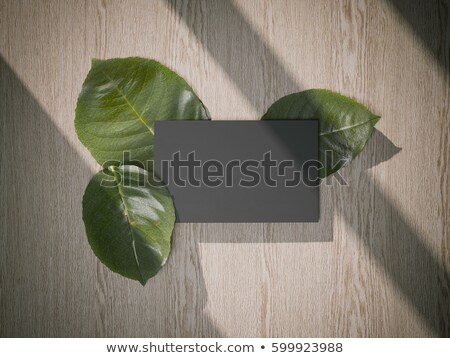 Stock fotó: Three Fresh Leafs And Black Busines Card 3d Rendering