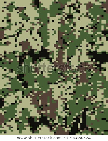 Foto stock: Digital Fashionable Camouflage Pattern