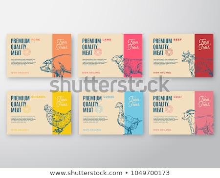 Stok fotoğraf: Set Of Labels With Animals