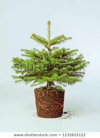 ストックフォト: Close Up On Plastic Christmas Tree Foliage