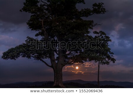 Stockfoto: Full Moon Rising Over Mount Hood