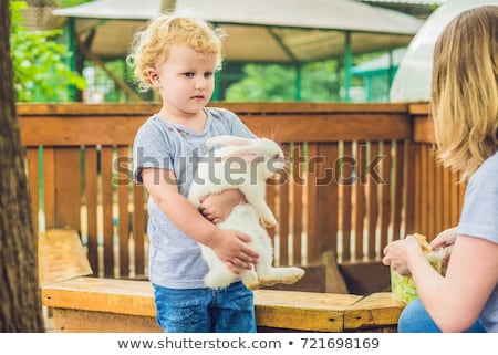 Imagine de stoc: Toddler Girl Caresses And Playing With Rabbit In The Petting Zoo Concept Of Sustainability Love Of