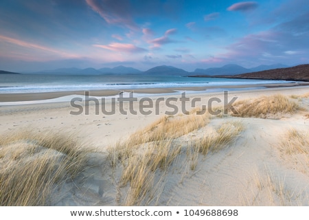 ストックフォト: Coastal Beach Scenery