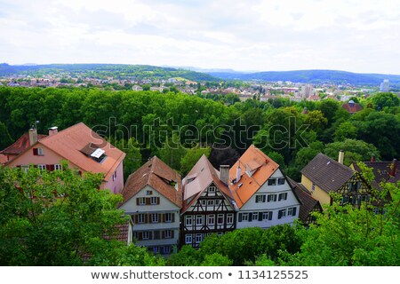 Сток-фото: View Of Tubingen Germany