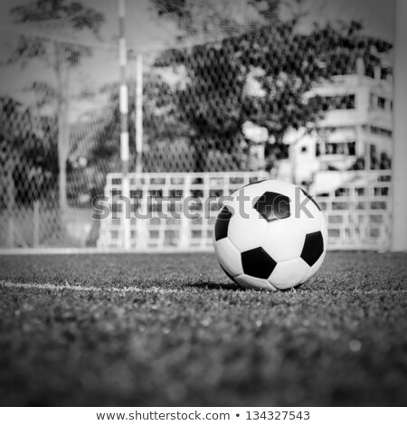 Black And White Football In Green Grass Stok fotoğraf © Ohmega1982