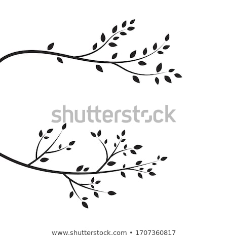 ストックフォト: Tree Branch Vector Ilustration Design