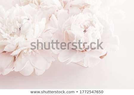 Foto d'archivio: Pastel Peony Flowers As Floral Art Background Botanical Flatlay And Luxury Branding
