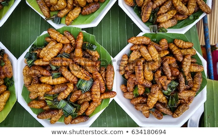 [[stock_photo]]: Thai Insects Food