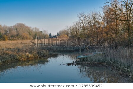 Imagine de stoc: Venetian Lagoon