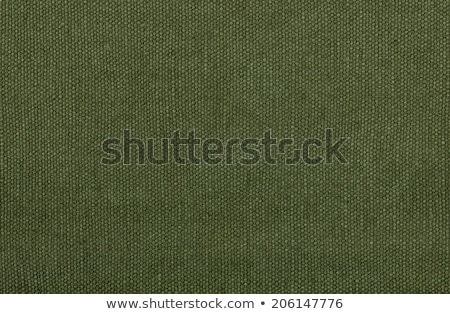 Stock photo: Green Canvas