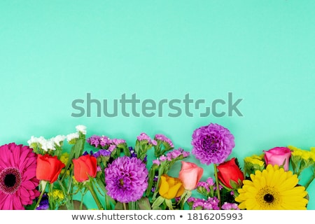 Foto stock: Colorful Gerbera Flowers Frame Top View Copy Space