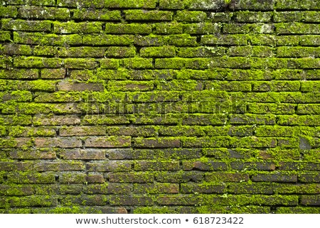 Stock photo: Texture Of Old Stone Wall Covered Green Moss In Fort Rotterdam Makassar - Indonesia Banner Long Fo