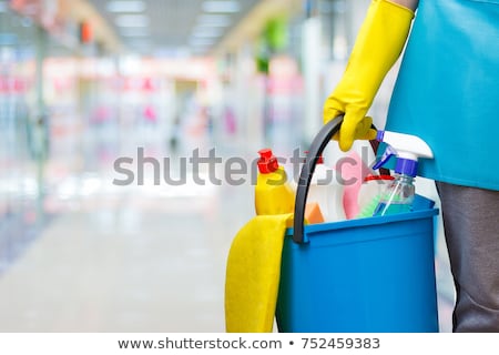 Сток-фото: Cleaning Lady
