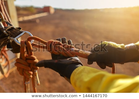 Stockfoto: Two Carabiners With Knotted Ropes