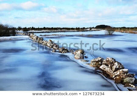 Foto d'archivio: Stonewall At Ice Covered Flood