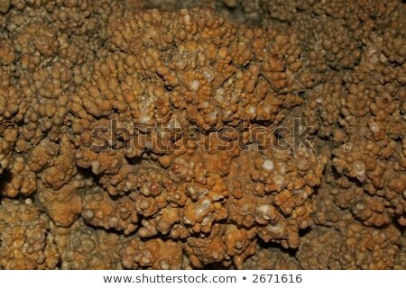 Сток-фото: Cave Popcorn Stalactite