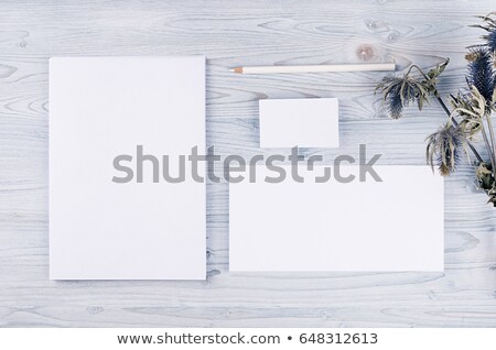 Stock fotó: Corporate Identity Template Stationery With Green Foliage On Soft Light Blue Wooden Board Mock Up