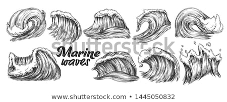 [[stock_photo]]: Breaking Pacific Ocean Marine Wave Storm Vector