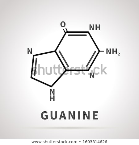 Stock fotó: Chemical Structure Of Guanine One Of The Four Main Nucleobases Simple Icon