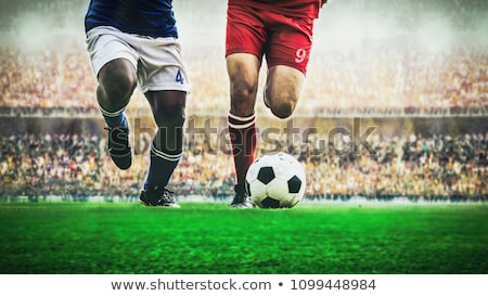 Сток-фото: Soccer Player