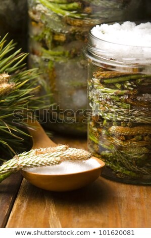 Stok fotoğraf: Natural Medicine - Syrup Made Of Pine Sprouts