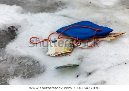 Stock foto: Euro Banknotes In The Snow