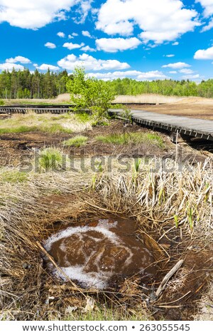 Foto stock: Nature Reserve Called Soos Czech Republic