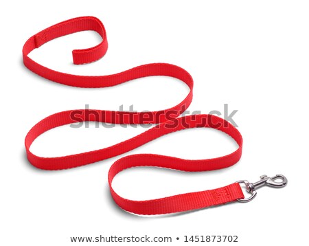 Stock fotó: Collar And Leash