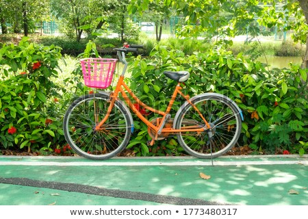 Foto stock: Vintage Bicycle Brake Lever