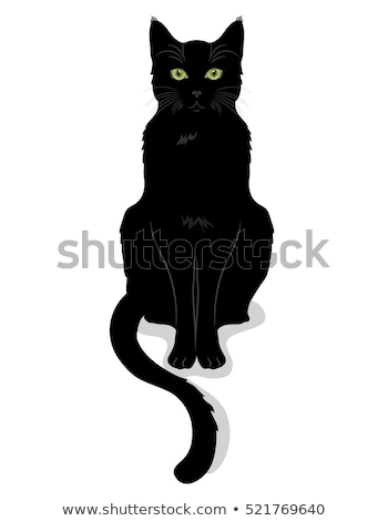 Foto d'archivio: Black Cat With Green Eyes Sitting