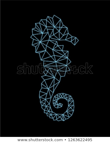 Stock fotó: Rhombus Banner With Seahorse