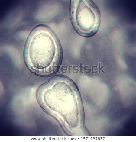 Stockfoto: Dna Molecule Structure Under A Microscope