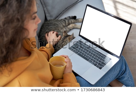 Stock fotó: Cat And Laptop