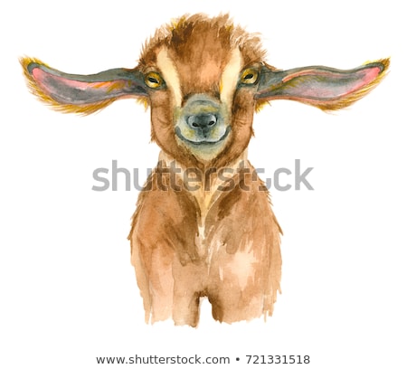 Foto stock: Goat Horoscope Character Watercolor Illustration Isolated On White Background
