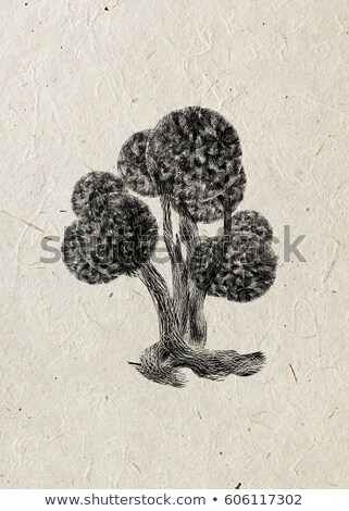 Stock photo: Boxwood Drawing Tree On A Beige Rice Paper Black Silhouette Wood Graphic Arts