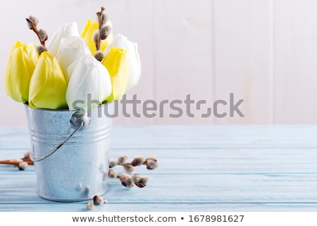 Stockfoto: Card For Invitation Or Congratulation With Bunch Of Willow And N