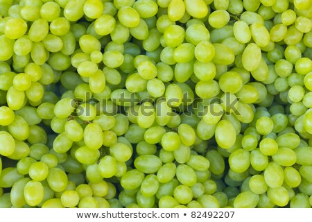 Sunny Green Grape Сток-фото © Frank11