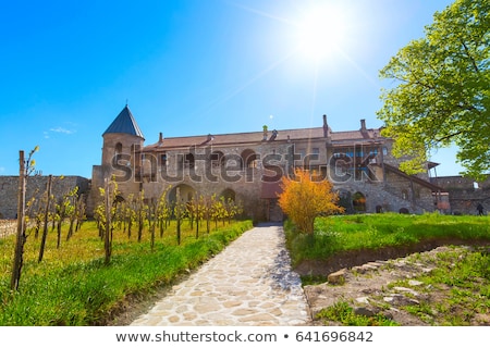 [[stock_photo]]: Vineyard In Alaverdi Monastery Georgia