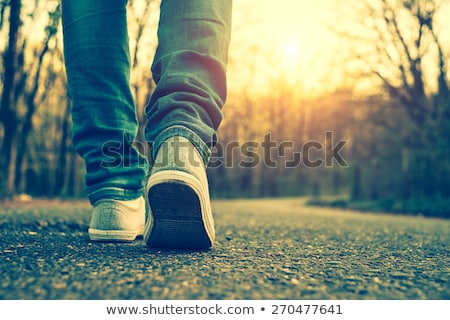 Stock photo: Walking Path