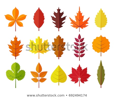 Foto d'archivio: Bright Leaf Icon Vector Illustration