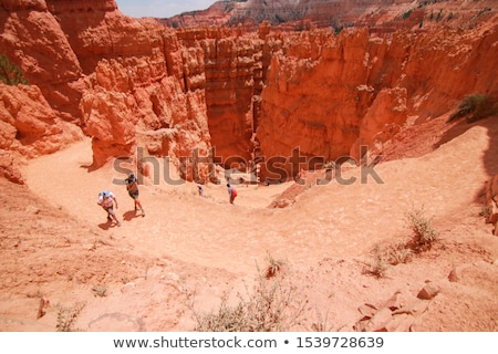 Stok fotoğraf: Navajo Loop Trail In Bryce Canyon