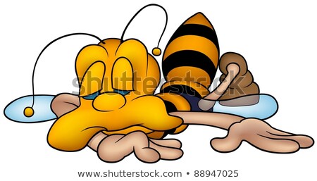 Foto d'archivio: Sleeping Wasp