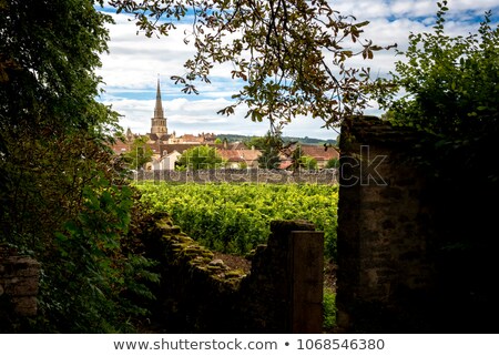 [[stock_photo]]: Eursault