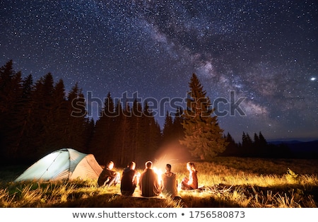 Stock photo: Campfire Near Mountain At Night