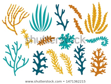 [[stock_photo]]: Icon Sea Weed