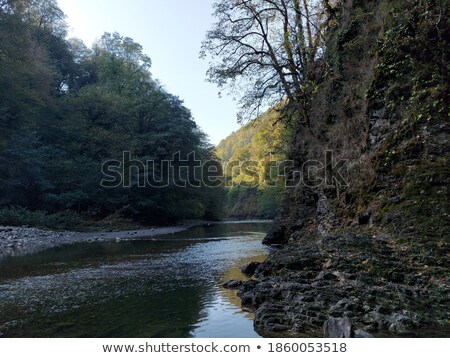 Сток-фото: Rocky Shores Of The River Covered With Beautiful Trees