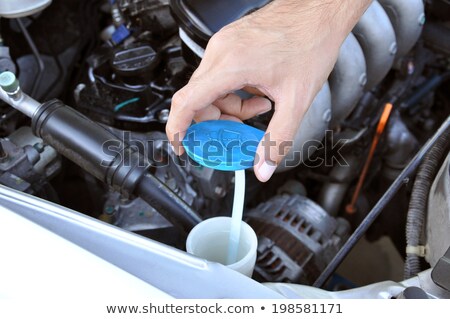 Foto d'archivio: Checking Windshield Washer Level